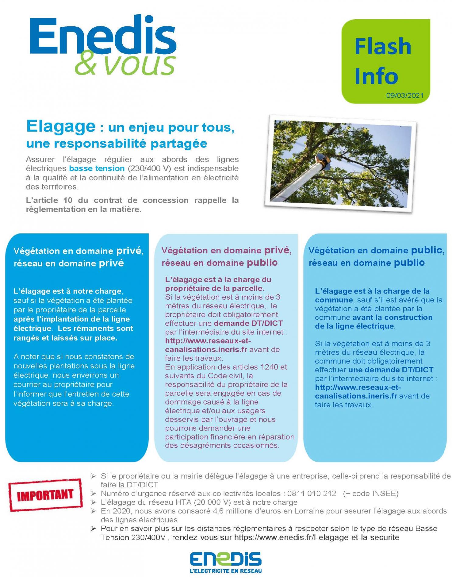 2021 03 09 flash info enedis elagage une responsabilite partagee